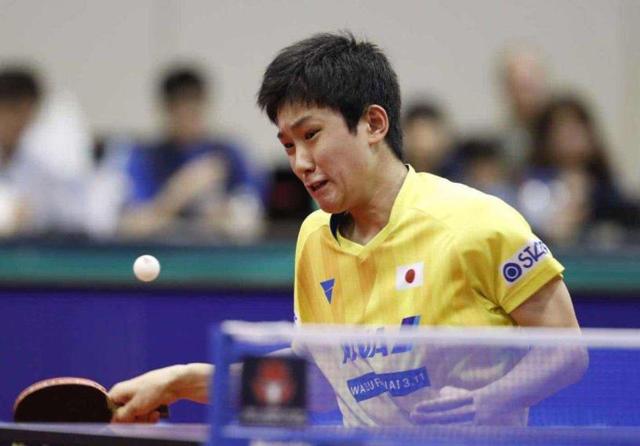 我们可以帮 我们可以帮