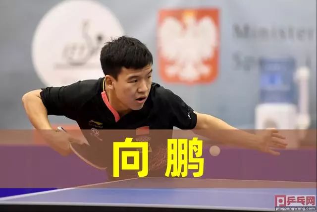 的婚姻故事 的婚姻故事