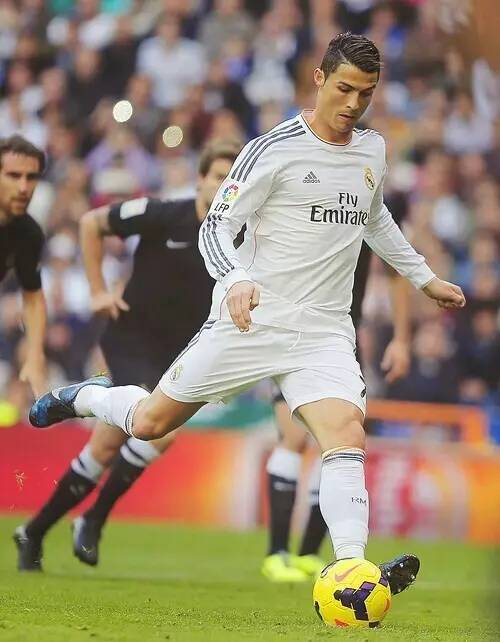 仅明确了体 仅明确了体